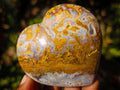 Polished Ocean Jasper Hearts x 6 From Northwest Coast, Madagascar - Toprock Gemstones and Minerals 