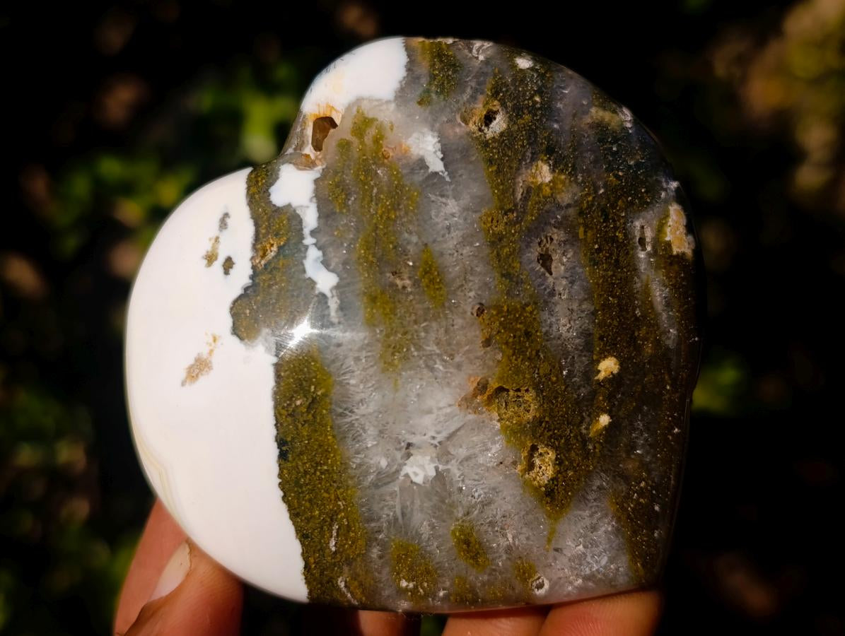 Polished Ocean Jasper Hearts x 6 From Northwest Coast, Madagascar - Toprock Gemstones and Minerals 