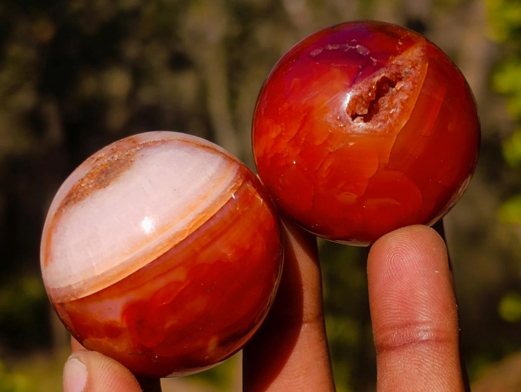 Polished Small Carnelian Agate Gemstone Spheres x 12 From Madagascar - Toprock Gemstones and Minerals 