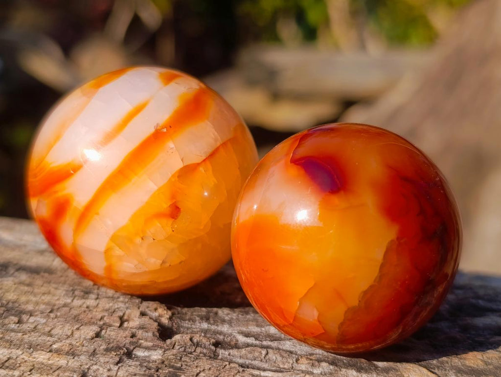 Polished Small Carnelian Agate Gemstone Spheres x 12 From Madagascar - Toprock Gemstones and Minerals 