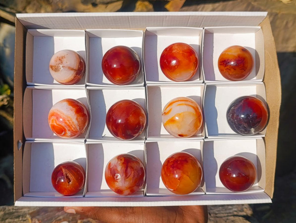 Polished Small Carnelian Agate Gemstone Spheres x 12 From Madagascar - Toprock Gemstones and Minerals 