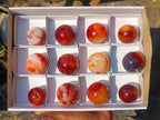 Polished Small Carnelian Agate Gemstone Spheres x 12 From Madagascar - Toprock Gemstones and Minerals 