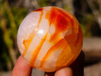 Polished Small Carnelian Agate Gemstone Spheres x 12 From Madagascar - Toprock Gemstones and Minerals 