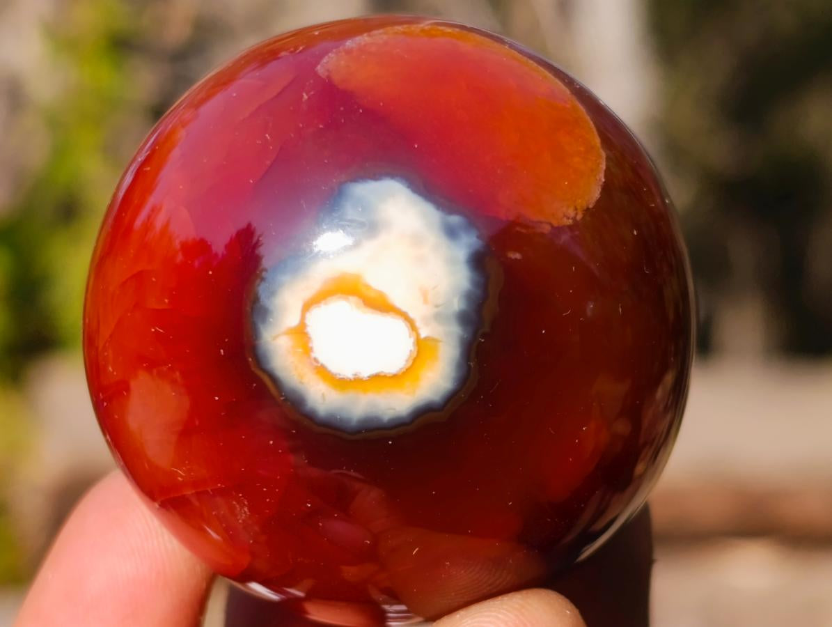 Polished Small Carnelian Agate Gemstone Spheres x 12 From Madagascar - Toprock Gemstones and Minerals 
