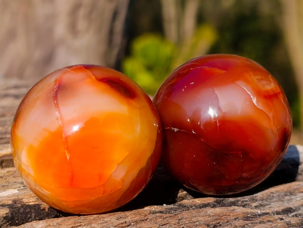 Polished Small Carnelian Agate Gemstone Spheres x 12 From Madagascar - Toprock Gemstones and Minerals 