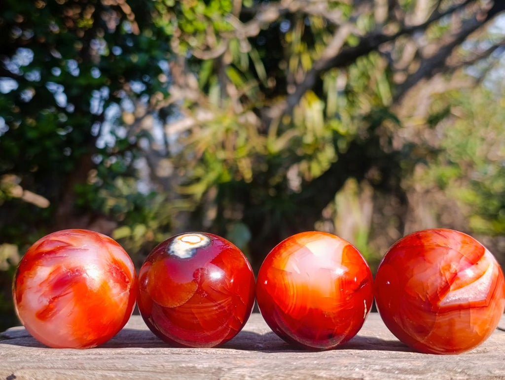 Polished Small Carnelian Agate Gemstone Spheres x 12 From Madagascar - Toprock Gemstones and Minerals 