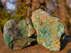 Natural Cobbed Shattuckite Specimens x 24 From Kaokoveld, Namibia - Toprock Gemstones and Minerals 