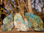 Natural Cobbed Shattuckite Specimens x 24 From Kaokoveld, Namibia - Toprock Gemstones and Minerals 