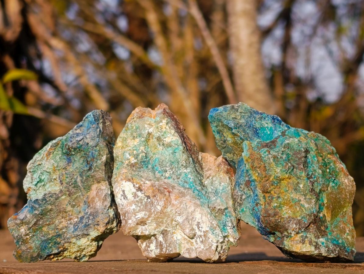 Natural Cobbed Shattuckite Specimens x 24 From Kaokoveld, Namibia - Toprock Gemstones and Minerals 