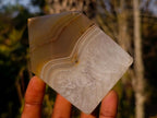 Polished Banded Agate House Shaped Slices x 12 From Madagascar - Toprock Gemstones and Minerals 