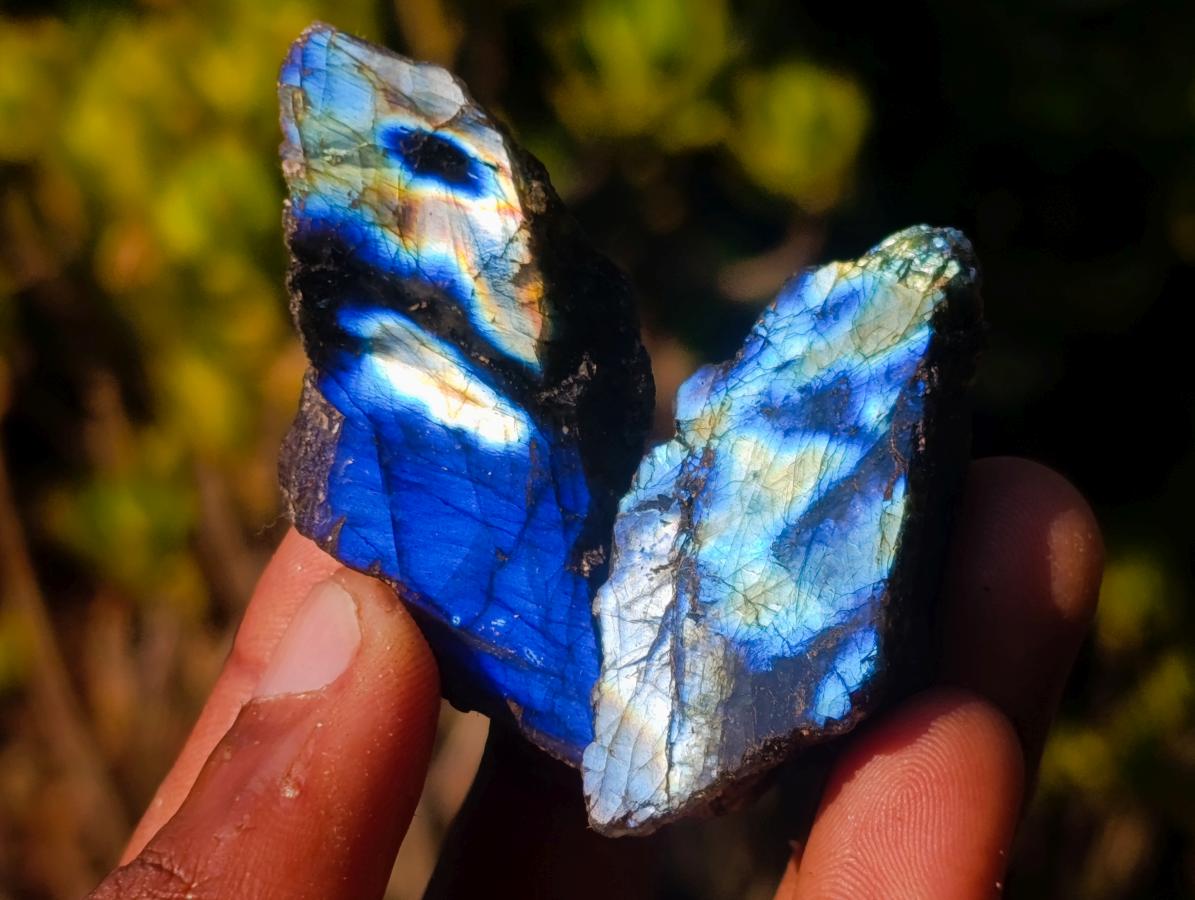 Polished One Side Labradorite Slices x 70 From Madagascar - Toprock Gemstones and Minerals 