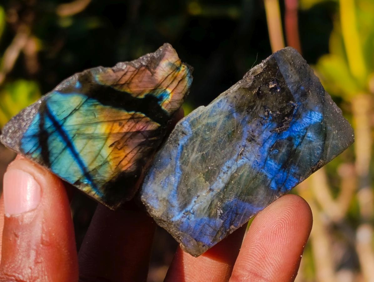 Polished One Side Labradorite Slices x 70 From Madagascar - Toprock Gemstones and Minerals 