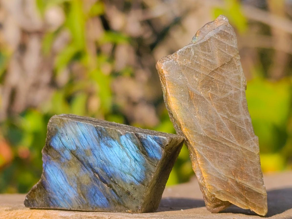 Polished One Side Labradorite Slices x 70 From Madagascar - Toprock Gemstones and Minerals 