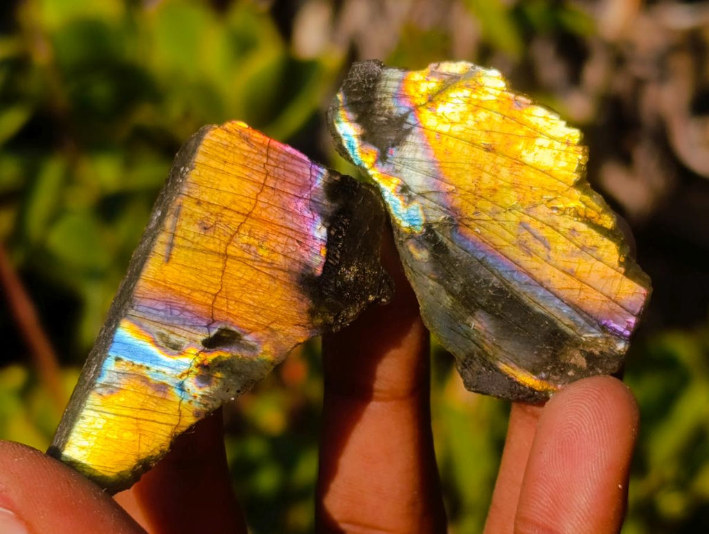 Polished One Side Labradorite Slices x 70 From Madagascar - Toprock Gemstones and Minerals 
