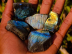 Polished One Side Labradorite Slices x 70 From Madagascar - Toprock Gemstones and Minerals 