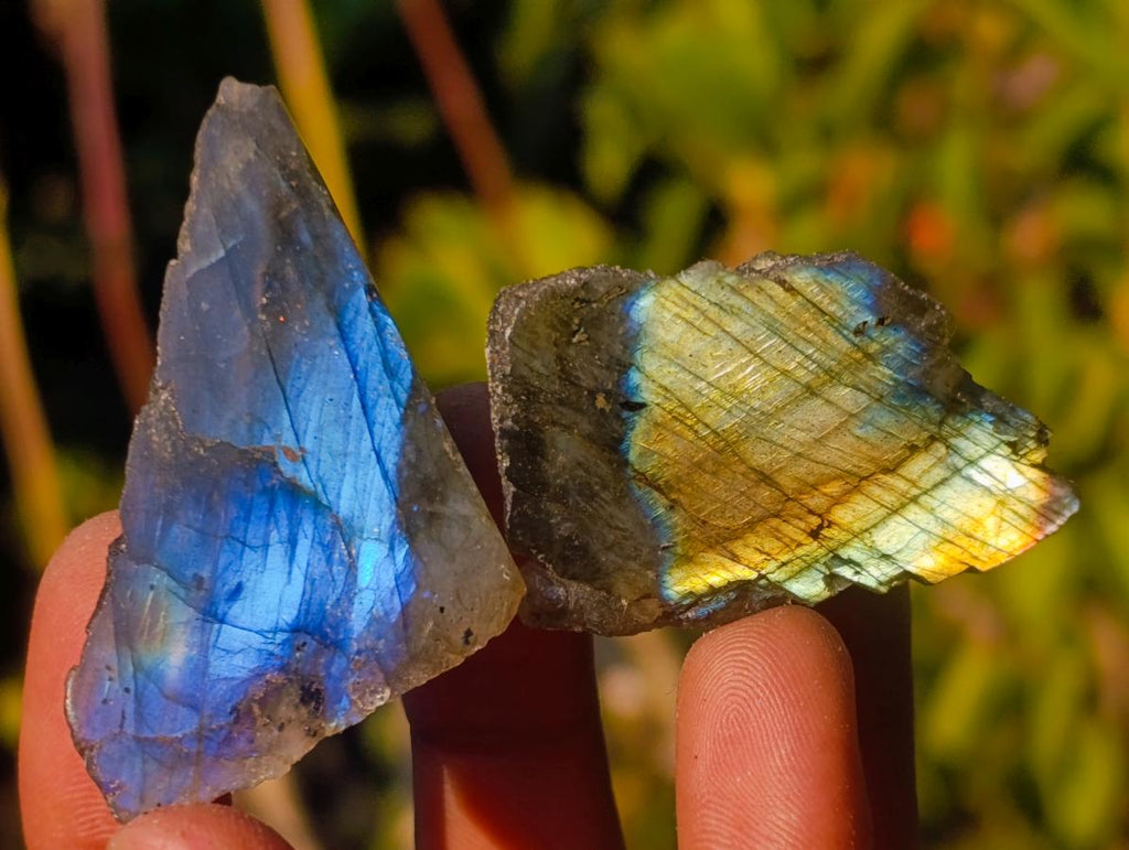 Polished One Side Labradorite Slices x 70 From Madagascar - Toprock Gemstones and Minerals 