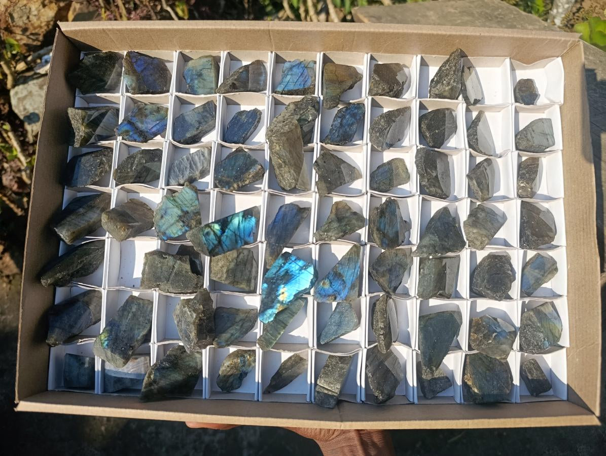 Polished One Side Labradorite Slices x 70 From Madagascar - Toprock Gemstones and Minerals 