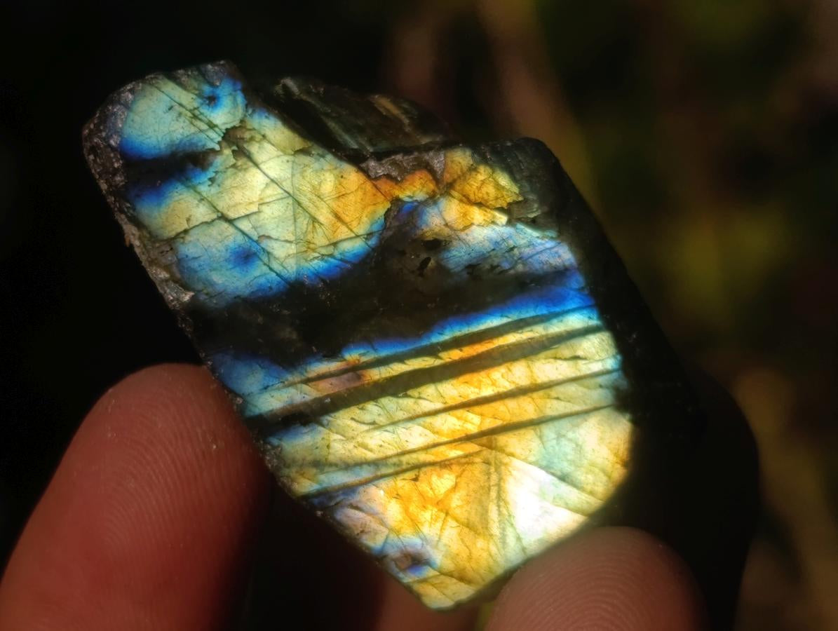 Polished One Side Labradorite Slices x 70 From Madagascar - Toprock Gemstones and Minerals 