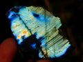 Polished One Side Labradorite Slices x 70 From Madagascar - Toprock Gemstones and Minerals 