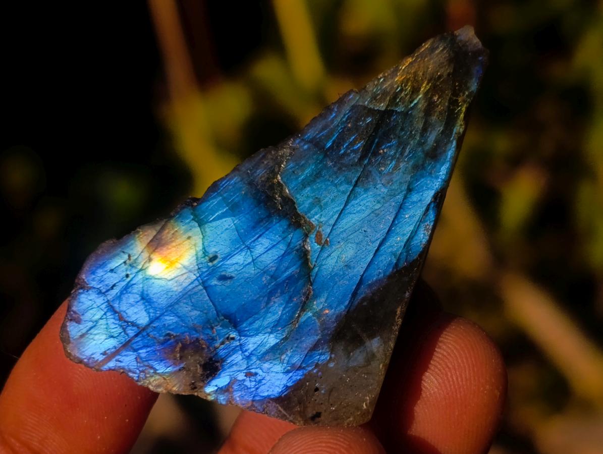 Polished One Side Labradorite Slices x 70 From Madagascar - Toprock Gemstones and Minerals 