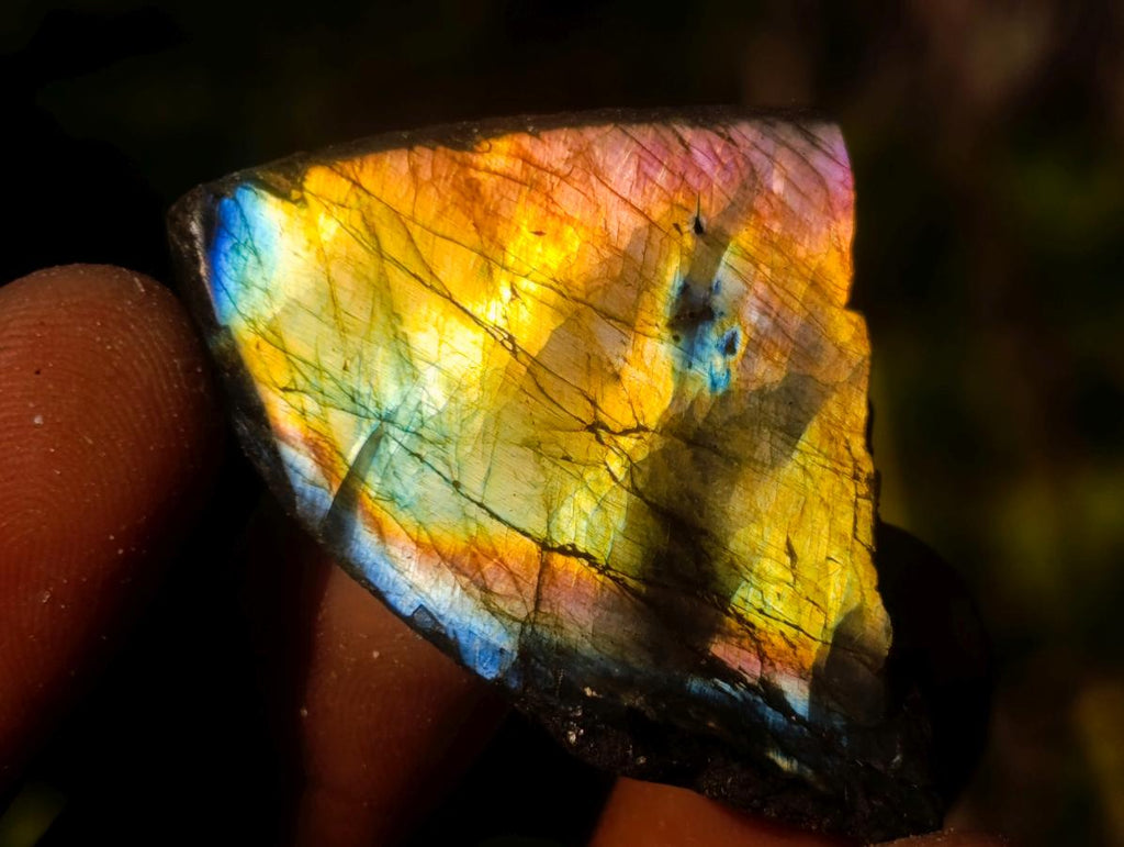 Polished One Side Labradorite Slices x 70 From Madagascar - Toprock Gemstones and Minerals 