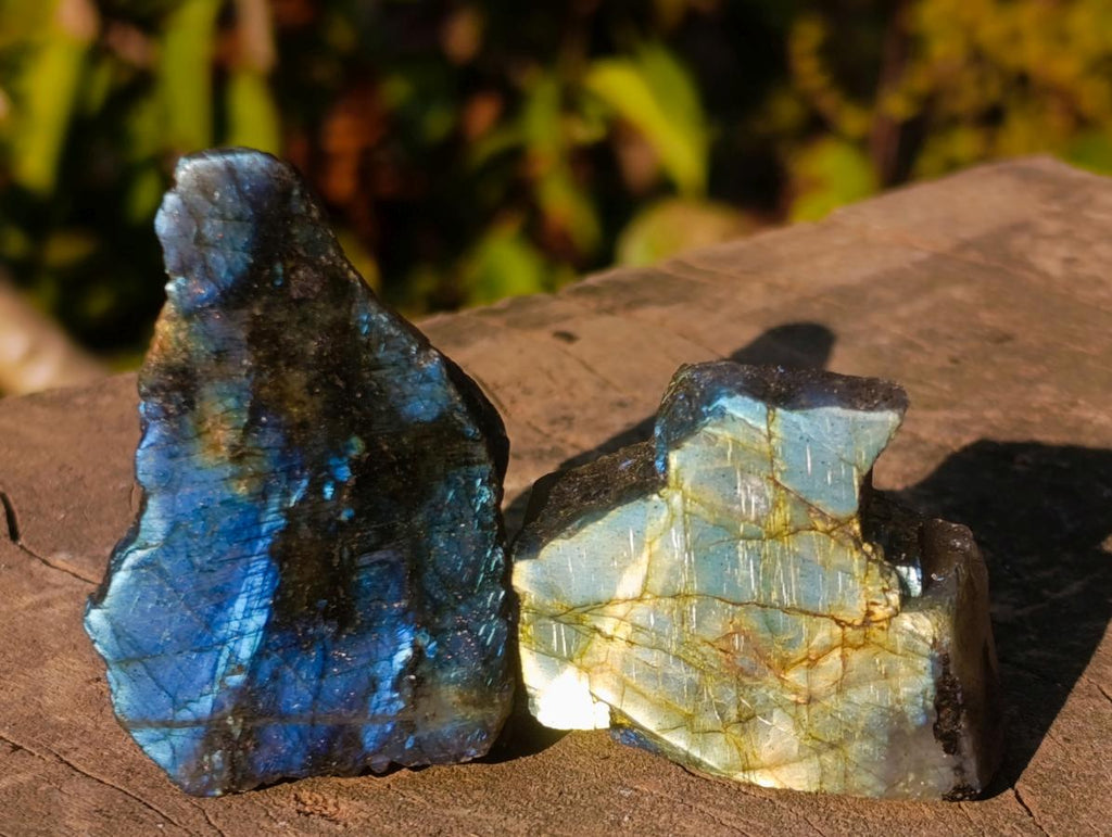 Polished One Side Labradorite Slices x 70 From Madagascar - Toprock Gemstones and Minerals 