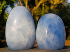 Polished Blue Calcite Standing Display Pieces x 3 From Madagascar - Toprock Gemstones and Minerals 
