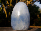 Polished Blue Calcite Standing Display Pieces x 3 From Madagascar - Toprock Gemstones and Minerals 