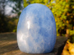 Polished Blue Calcite Standing Display Pieces x 3 From Madagascar - Toprock Gemstones and Minerals 