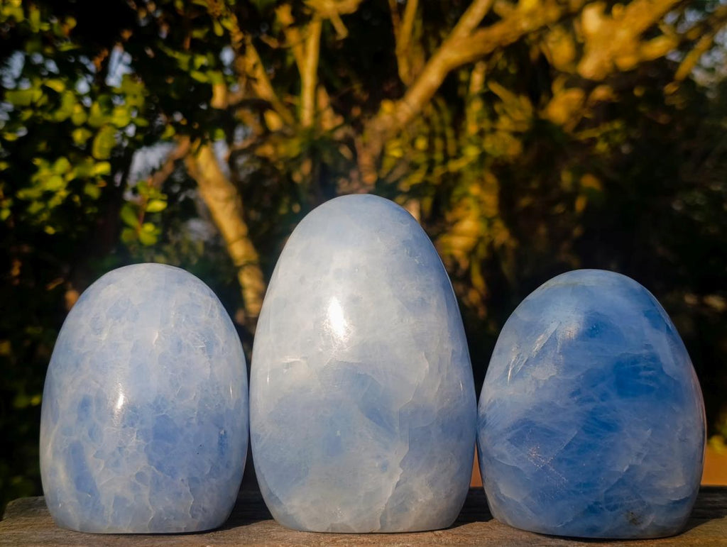 Polished Blue Calcite Standing Display Pieces x 3 From Madagascar - Toprock Gemstones and Minerals 