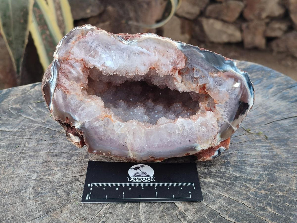 Polished Large One Side Agate Geode x 1 From Maintirano, Madagascar - Toprock Gemstones and Minerals 