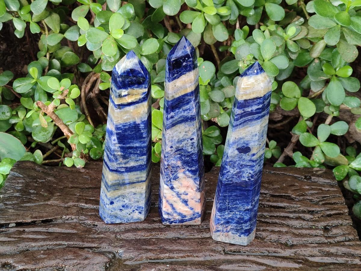Polished Sodalite Display Crystals x 3 From Kunene River, Namibia - Toprock Gemstones and Minerals 