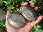 Polished Basalt Pharaoh Stone Galets x 3 From Iron Duke Mine, Zimbabwe - Toprock Gemstones and Minerals 