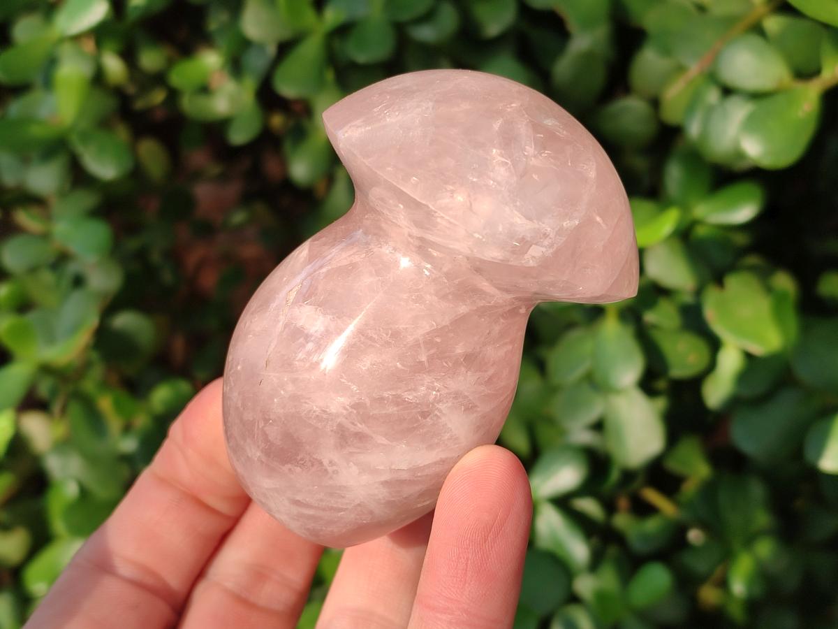 Polished Gemmy Rose Quartz Mushrooms x 12 From Madagascar - Toprock Gemstones and Minerals 