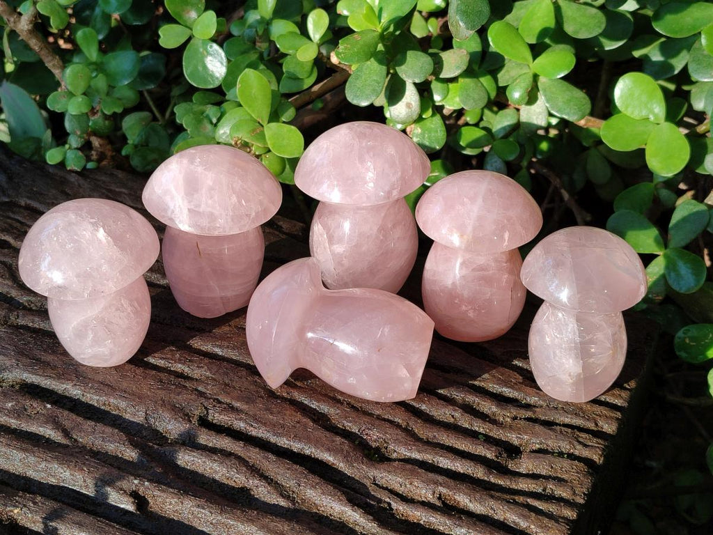 Polished Gemmy Rose Quartz Mushrooms x 12 From Madagascar - Toprock Gemstones and Minerals 