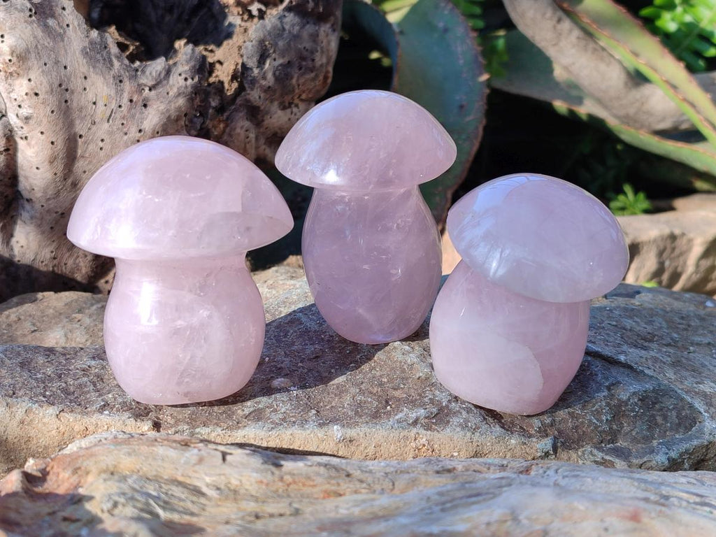 Polished Gemmy Rose Quartz Mushrooms x 12 From Madagascar - Toprock Gemstones and Minerals 