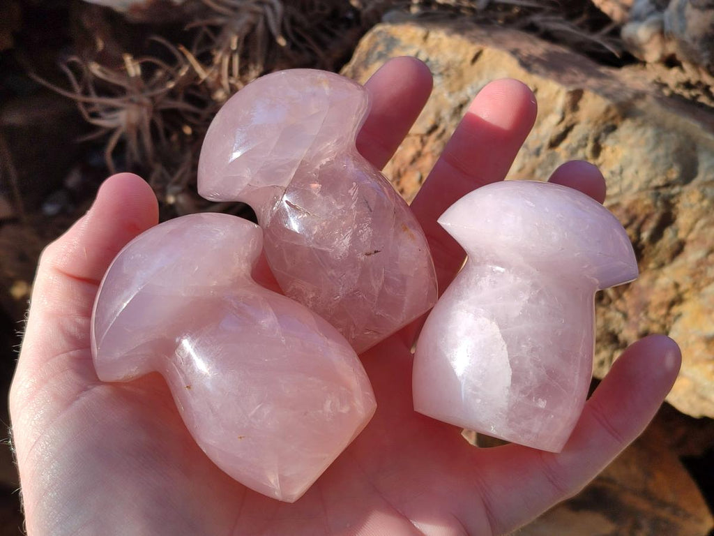 Polished Gemmy Rose Quartz Mushrooms x 12 From Madagascar - Toprock Gemstones and Minerals 
