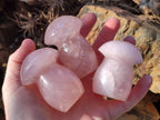 Polished Gemmy Rose Quartz Mushrooms x 12 From Madagascar - Toprock Gemstones and Minerals 
