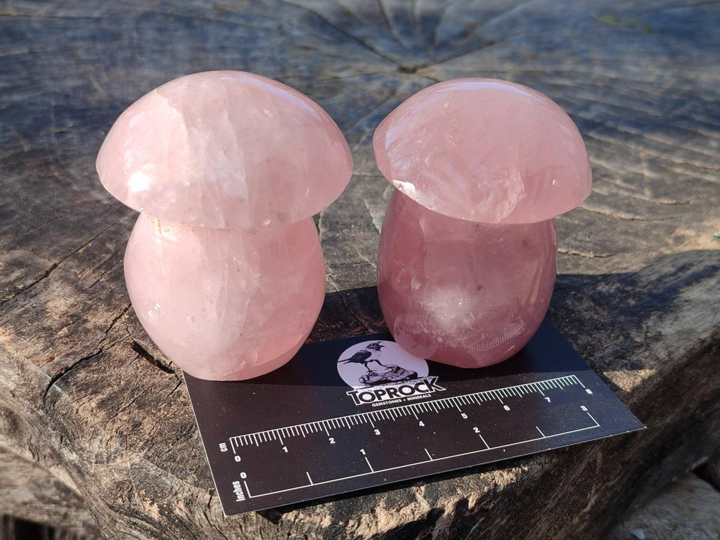 Polished Gemmy Rose Quartz Mushrooms x 12 From Madagascar - Toprock Gemstones and Minerals 