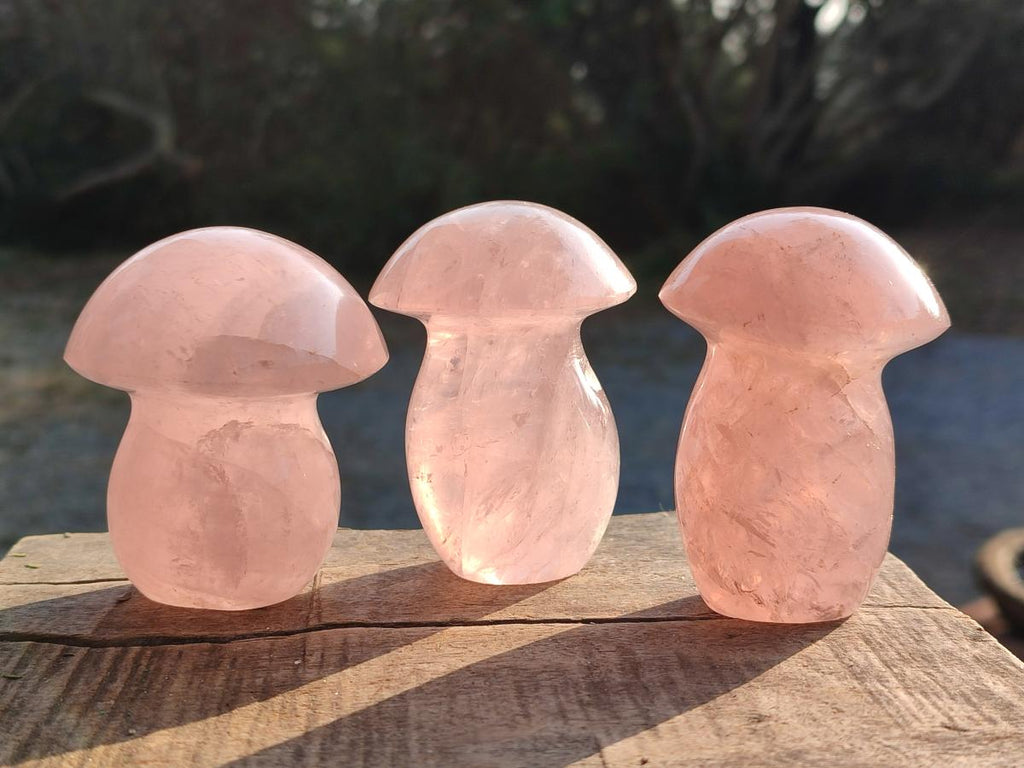 Polished Gemmy Rose Quartz Mushrooms x 12 From Madagascar - Toprock Gemstones and Minerals 