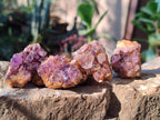 Natural Small Dark Purple Amethyst Crystal Plates x 35 From Boekenhouthoek, South Africa - Toprock Gemstones and Minerals 