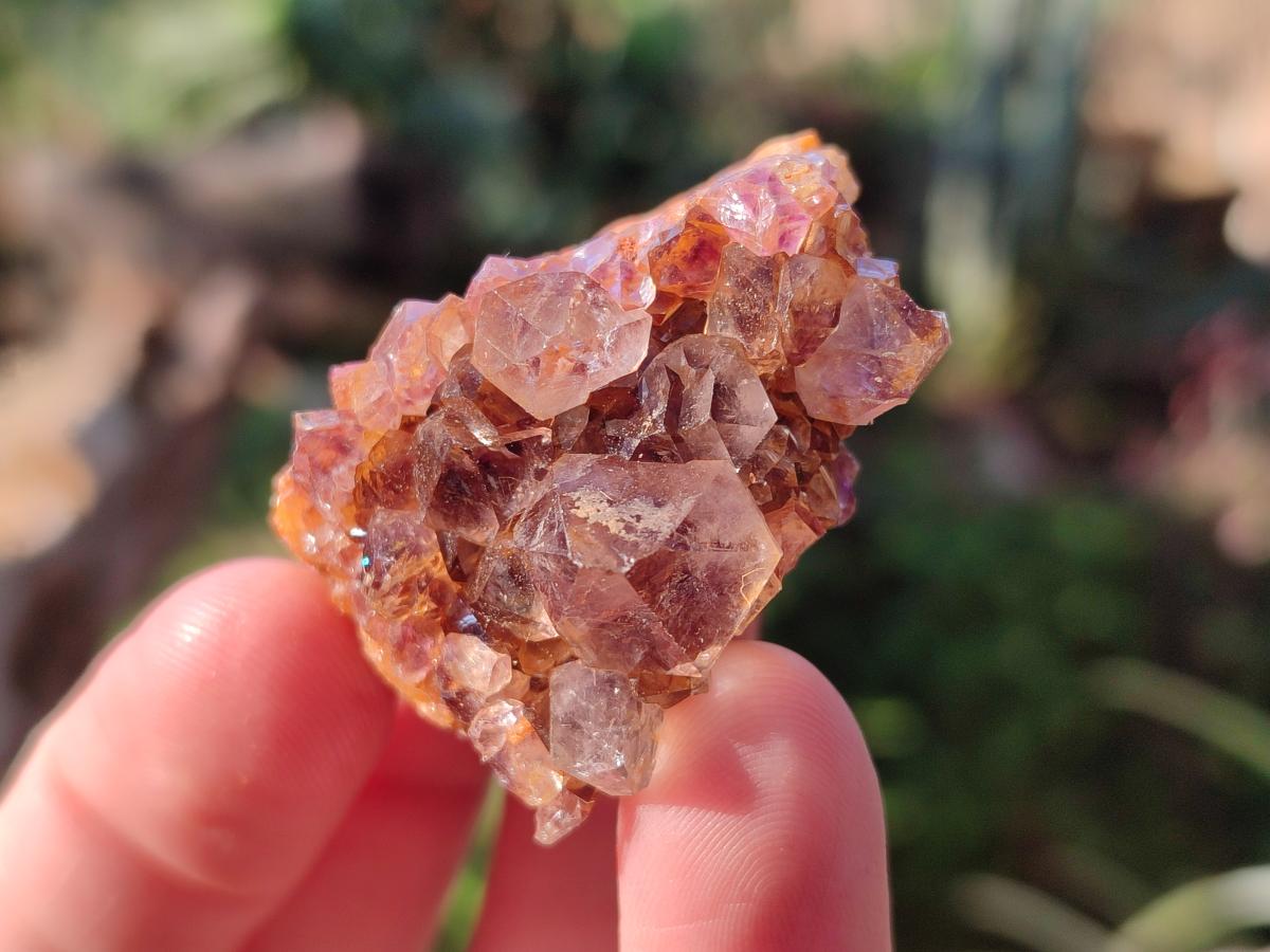 Natural Small Dark Purple Amethyst Crystal Plates x 35 From Boekenhouthoek, South Africa - Toprock Gemstones and Minerals 