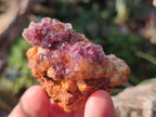 Natural Small Dark Purple Amethyst Crystal Plates x 35 From Boekenhouthoek, South Africa - Toprock Gemstones and Minerals 