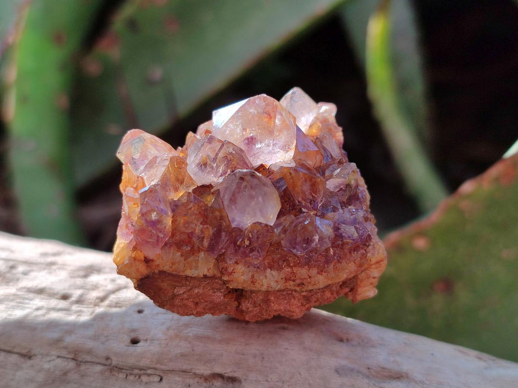 Natural Small Dark Purple Amethyst Crystal Plates x 35 From Boekenhouthoek, South Africa - Toprock Gemstones and Minerals 