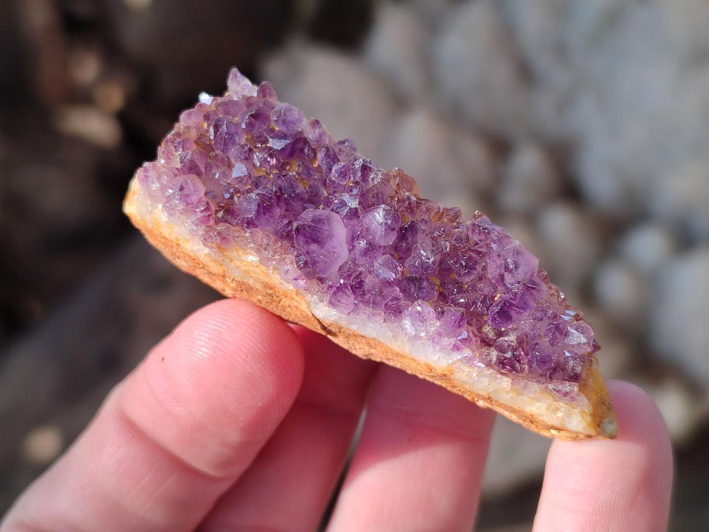 Natural Small Dark Purple Amethyst Crystal Plates x 35 From Boekenhouthoek, South Africa - Toprock Gemstones and Minerals 