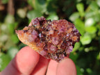 Natural Small Dark Purple Amethyst Crystal Plates x 35 From Boekenhouthoek, South Africa - Toprock Gemstones and Minerals 