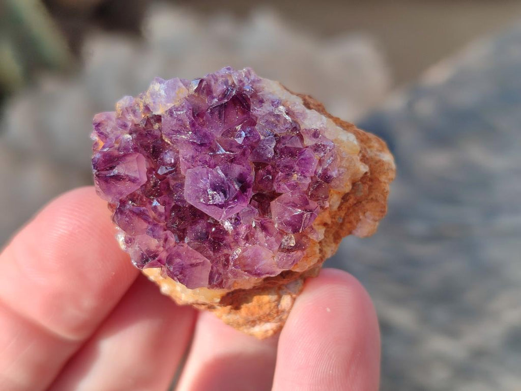 Natural Small Dark Purple Amethyst Crystal Plates x 35 From Boekenhouthoek, South Africa - Toprock Gemstones and Minerals 