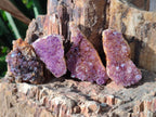 Natural Small Dark Purple Amethyst Crystal Plates x 35 From Boekenhouthoek, South Africa - Toprock Gemstones and Minerals 