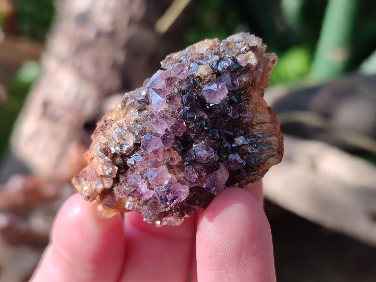 Natural Small Dark Purple Amethyst Crystal Plates x 35 From Boekenhouthoek, South Africa - Toprock Gemstones and Minerals 