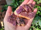 Natural Small Dark Purple Amethyst Crystal Plates x 35 From Boekenhouthoek, South Africa - Toprock Gemstones and Minerals 